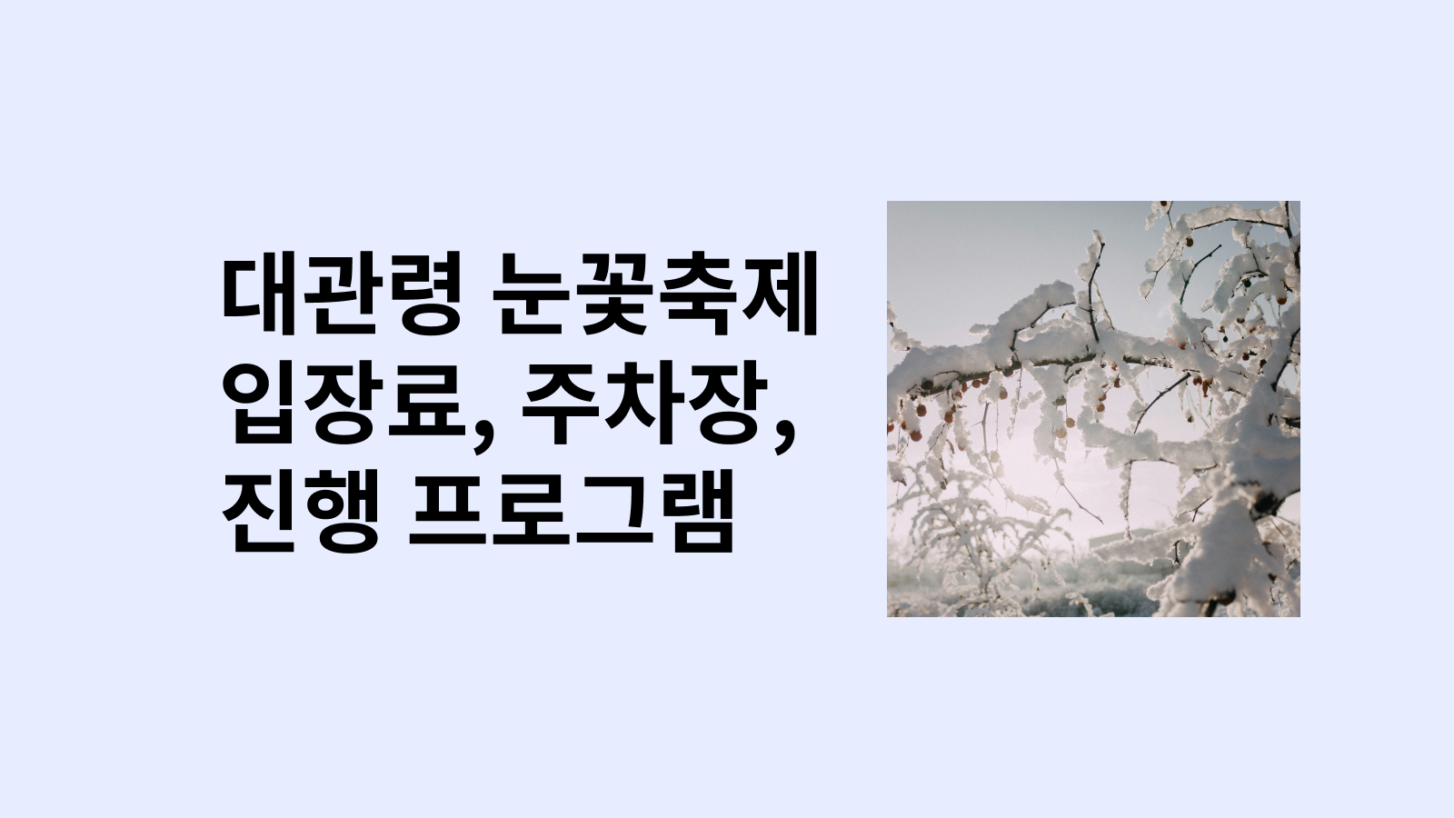 대관령 눈꽃축제